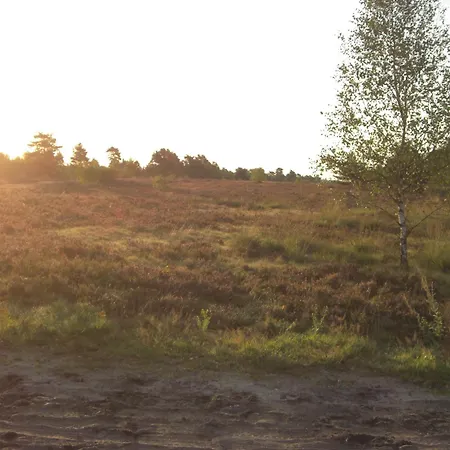 Apartman Karin Schneverdingen