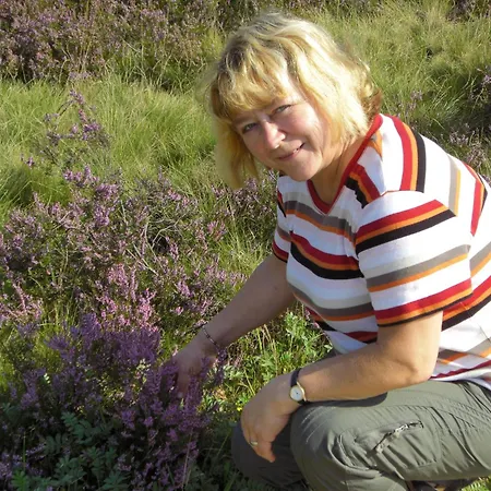 Apartman Karin Schneverdingen