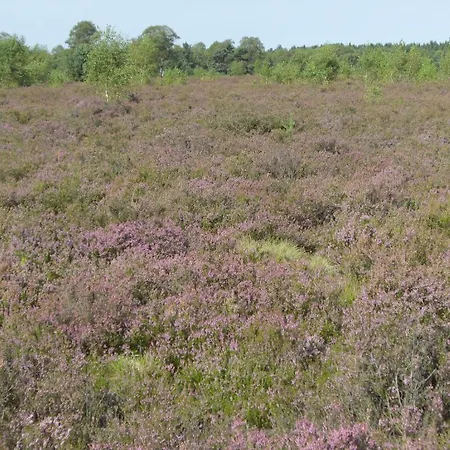 Karin Apartman Schneverdingen