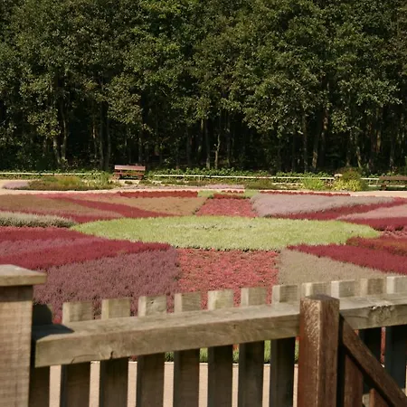 Karin Schneverdingen